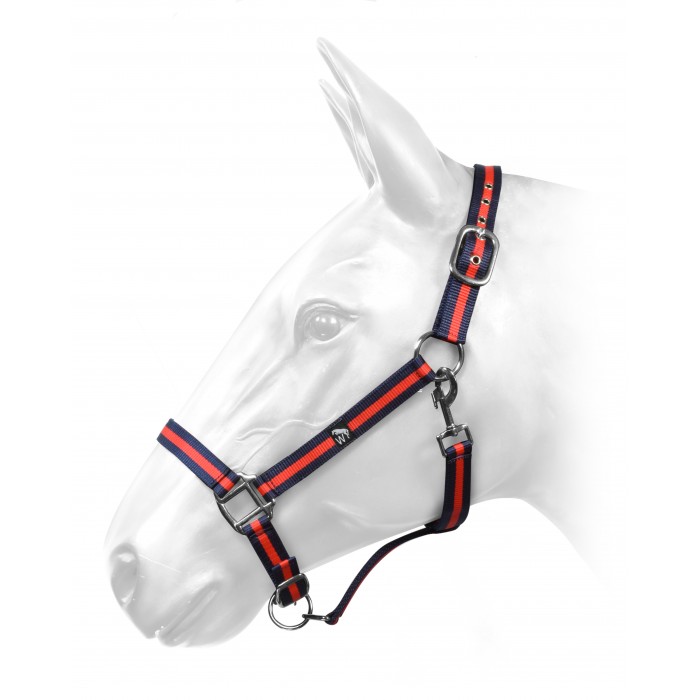HCW01 Harvey Headcollar in Red and Navy